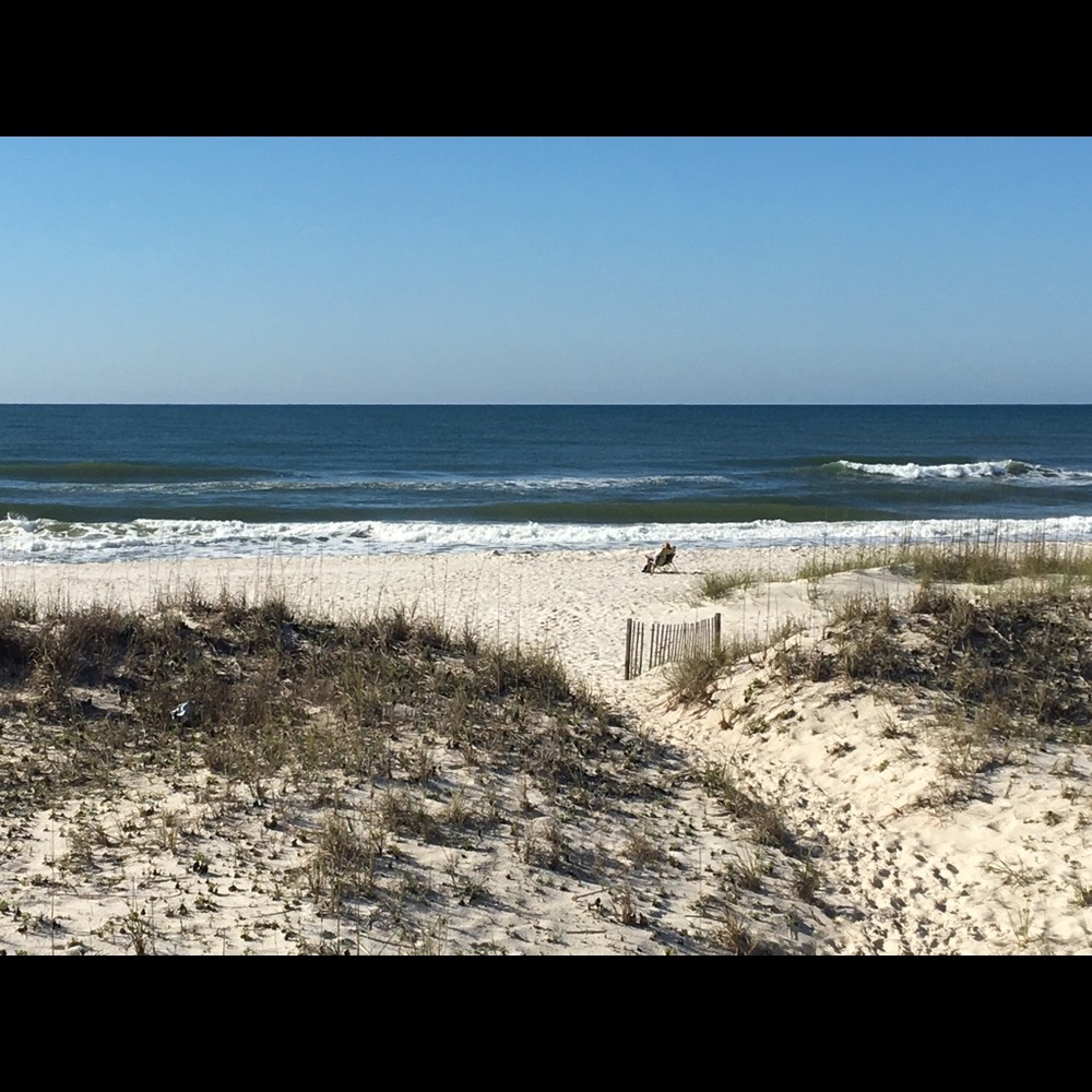 Meet your Posher, Tracy